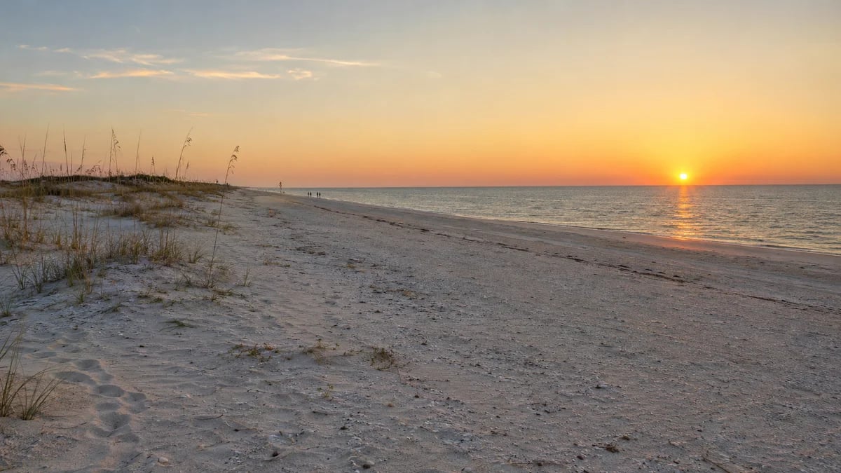 Best Things to Do on Dauphin Island